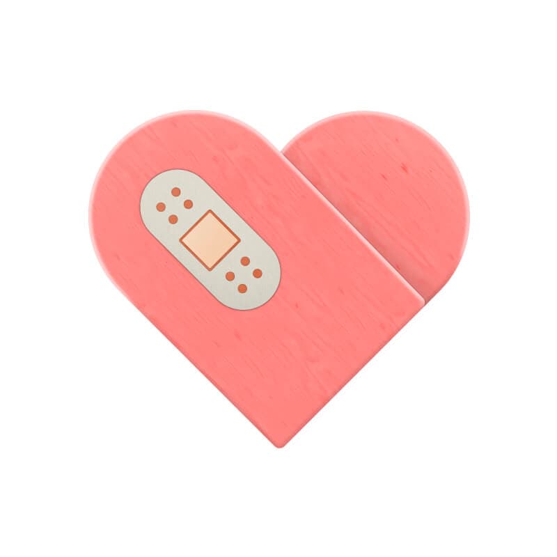 anz plug icon