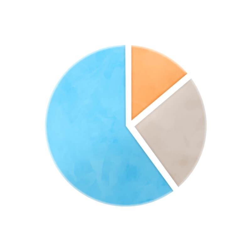 anz plug icon