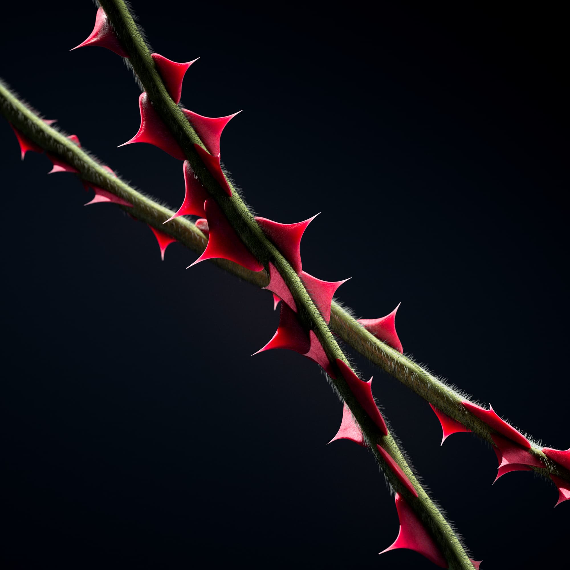 flora-thorn